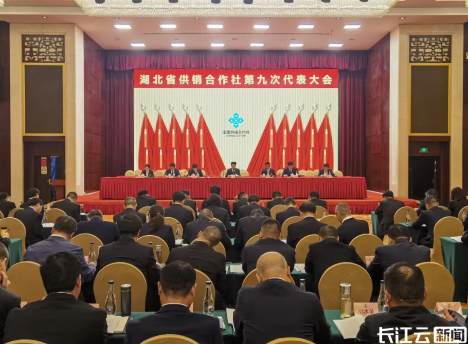 Ggpoker官网-不凡成就非凡,相信品牌的力量